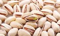 Iran leads in pistachio orchards, ranks second in production