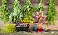 Medicinal herbs exports rise 22 percent in one year