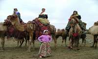 Tehran Nomads' Migration Celebration to be held after 5 years