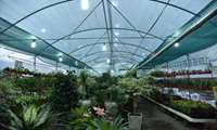 Iran exporting greenhouse products to 10 countries