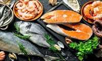 Iran fishery production expected to hit 206,000 tons 