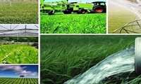 Govt urges Iranian firms to launch overseas extraterritorial cultivation projects 