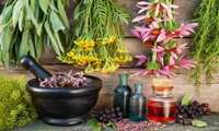 Iran medicinal plant industry booms
