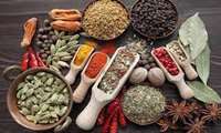 Iran to significantly expand medical herb cultivation, official says 