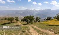  Iran targets 20m hectares of rangeland restoration 