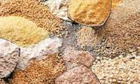 Iran boosts cereal exports amid domestic consumption rise