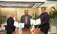 FAO and Iran working together to boost pistachio industry