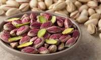 Iran pistachio exports soar 213 percent 