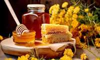 Iran honey exports reach $5.6 million annually