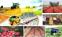2,335 agricultural projects to be inaugurated across Iran