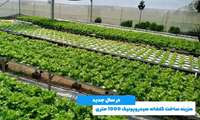   15 ha hydroponic greenhouse under construction in Varamin 