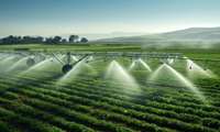 Iran allocates funds for modern irrigation system 