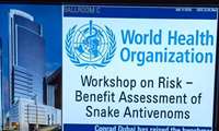  WHO workshop aims to improve snake antivenom safety, efficacy