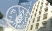 Iran honored by FAO for exceptional World Soil Day celebration
