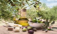 Iran prioritizes knowledge-based approach for sustainable olive production