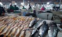 Iran seeks investment to boost aquaculture industry