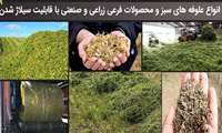 Iran seeking to diversify fodder options better suited to arid conditions