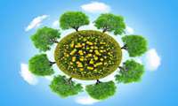 Public participation key to expanding Iran green cover