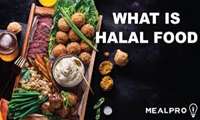Iran share in global halal food market unique 