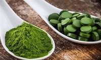 Iranian scientists develop novel method for microalgae preservation