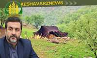 Iranian nomads play key role in red meat production, deputy minister says