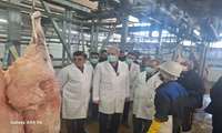 Iran launches guaranteed purchase program to support livestock farmers