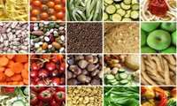 Knowledge-based companies key to Iranian agriculture s future official says