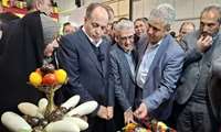 Agriculture Minister tours exhibition showcasing North Khorasan agricultural strengths