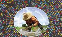 Iran joins FAO Global Soil Doctors Program