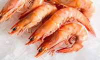 Iran shrimp exports surge