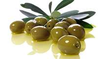Olive production in Iran expected to rise by 100%, official says 