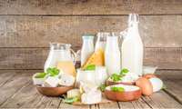 Mazandaran province exports dairies to 25 countries 