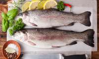 Iran exports of trout surge in first quarter