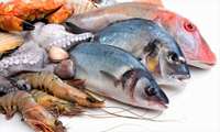 Iran fish exports register 30 percent rise in first quarter