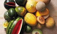  Iran forecasts record-breaking outdoor vegetable melon yield