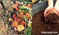 Iran to use tropical plant waste to feed livestock