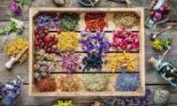 Iran exports over 100,000 tons of medicinal plants in one year