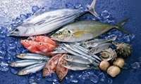 Iran exports 210,000 tons of aquatic products worth $650m in 2023