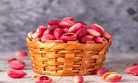 Iran pistachio production expected to hold steady at 200,000 tons