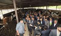 Ministry of Agriculture aims for stable, fluctuation-free production of essential products