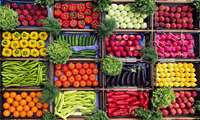 Iran agricultural exports surge in first quarter