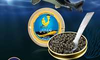 Iran to launch major sturgeon farm in Hamedan province 
