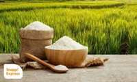 Four new rice varieties introduced for next crop year