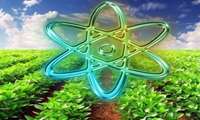  Iran to use food irradiation tech for first time 