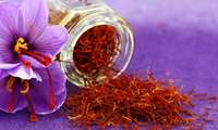 Iran, FAO launch joint project to improve saffron authenticity
