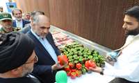 Agriculture minister inaugurates Zagros Hydroponic Greenhouse in Qom  