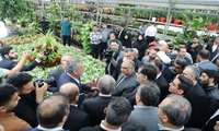 Minister calls for development of modern greenhouses