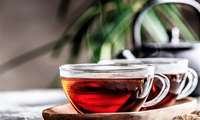 Iran tea production booming: Expected to hit 145,000 tons this year