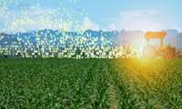 Iran Agriculture Ministry to launch ‘Metaverse’ platform to boost productivity