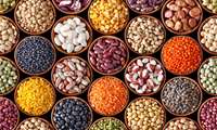 Iran aims to boost legume production